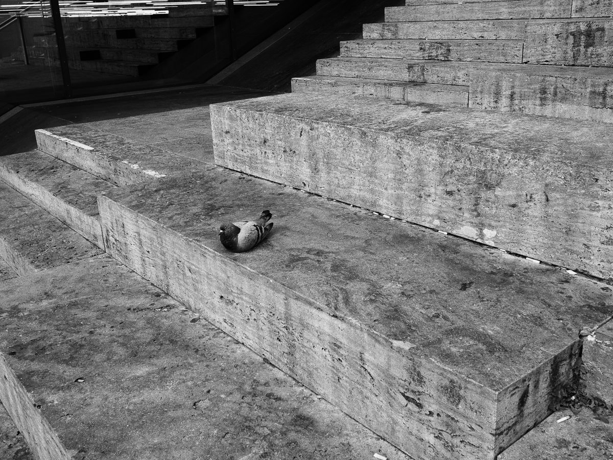 Streetfotografie in Stuttgart